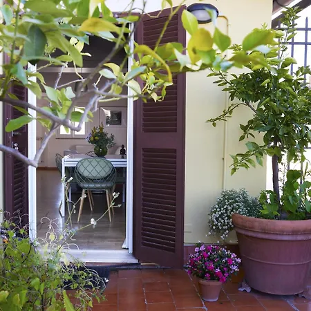 Trasteverehome - Attic Terrace Center Of Baroque Daire Roma